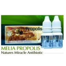 herbal murah jogja - toko herbal - toko herbal jogja - toko herbal online -herbal online jogja – grosir herbal – obat herbal- herbal untuk – alamat toko herbal di - Propolis Melia